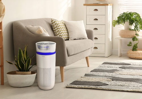 How Air Purifiers Help —and How to Choose the Right Features