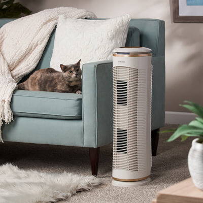 Cute cat sits at the end of a light blue couch next to a large Homedics air purifier